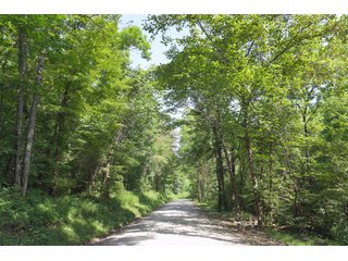 Tract 29 - Timberland & Farmland in Noble County, OH - LAND AUCTION - 12,200+/- ACRES OFFERED IN 65 TRACTS IN NOBLE COUNTY, OHIO